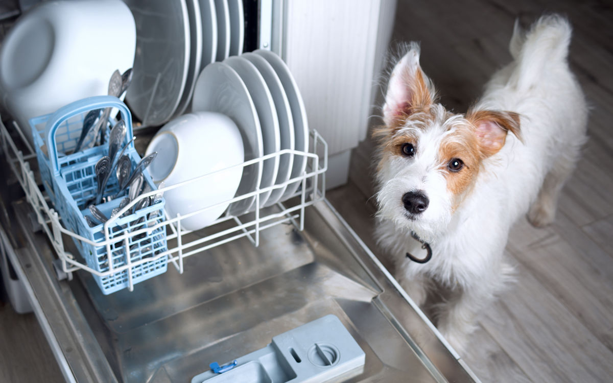 Одна кнопка в посудомоечной машине поможет снизить счет за электроэнергию