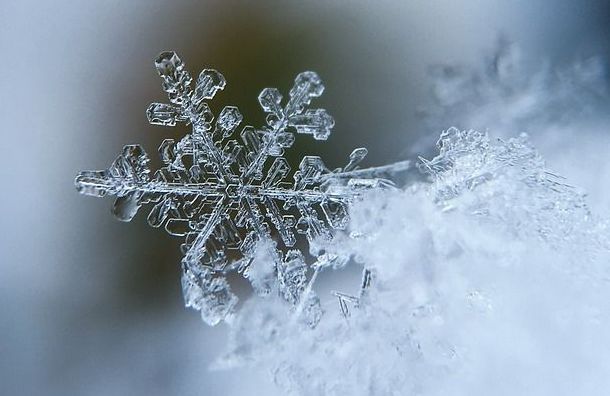В регионы нагрянут морозы до -13: синоптики пообещали украинцам солнечную, но снежную погоду - прогноз  