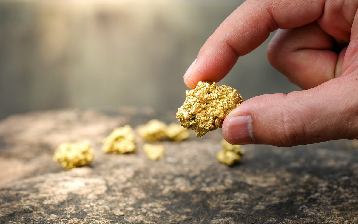 Жительница Австралии вернулась в место, где выросла, и нашла самородки золота на $127 тысяч