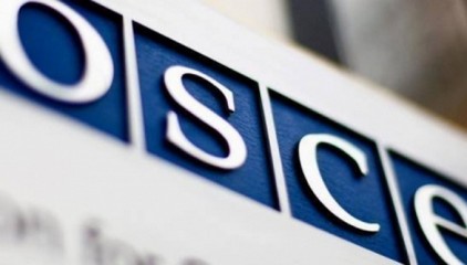 Российская делегация ОБСЕ призвала расследовать преступления против прав человека в Украине