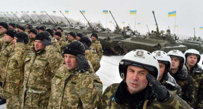 В Украине готовы создать резервную армию