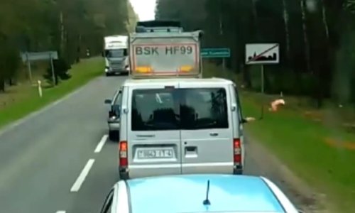 Это видео" взорвало" Сеть: поляк показательно проучил белорусов, которые выбрасывали мусор из окна автомобиля, – кадры