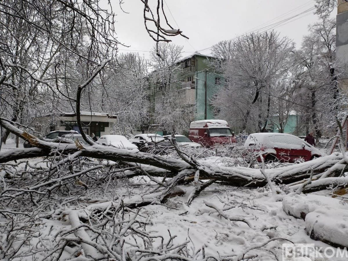 В Одессе прогнозируют ледяной дождь: какой будет погода в оставшиеся дни года