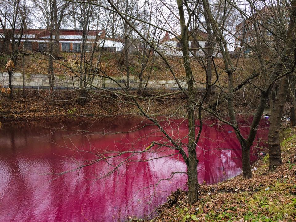 В Сумах озеро окрасилось в цвет свекольника – жители боятся экокатастрофы