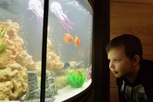 ​Невиданная щедрость Путина: президент подарил больному ребенку аквариум с рыбками