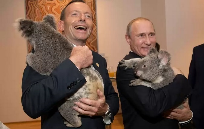 Sky News: на саммите G20 коалы были популярнее Путина