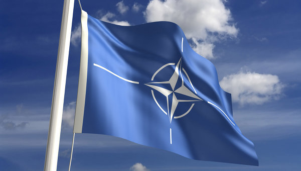 Украина и НАТО согласовали годовую программу сотрудничества на 2015 год