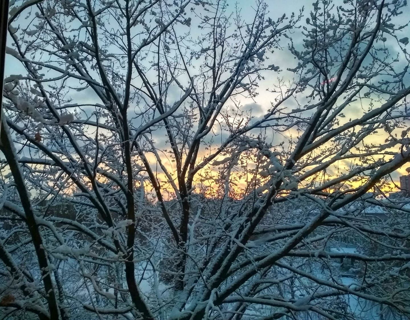 Украину ждет одна из самых морозных недель зимы: в каких областях будет холоднее всего