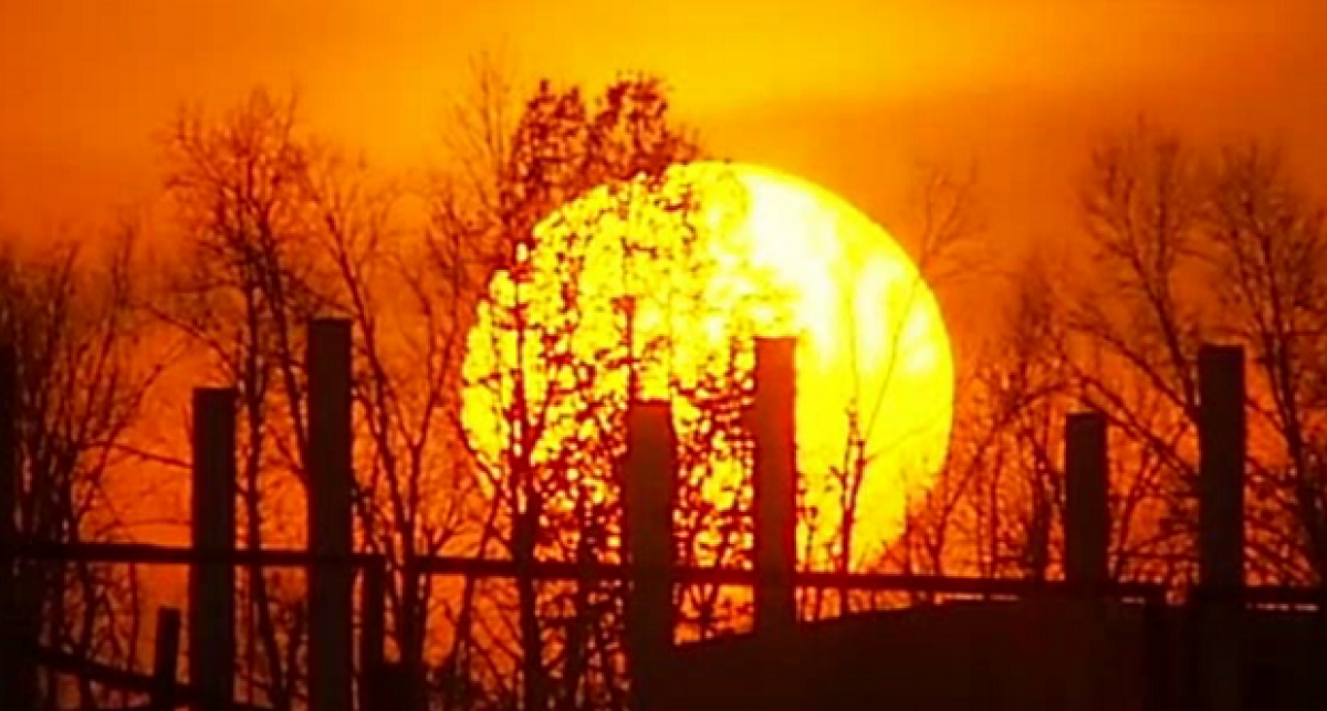 На Солнце аномально снизилась активность: прогноз ученых, чем это грозит человечеству