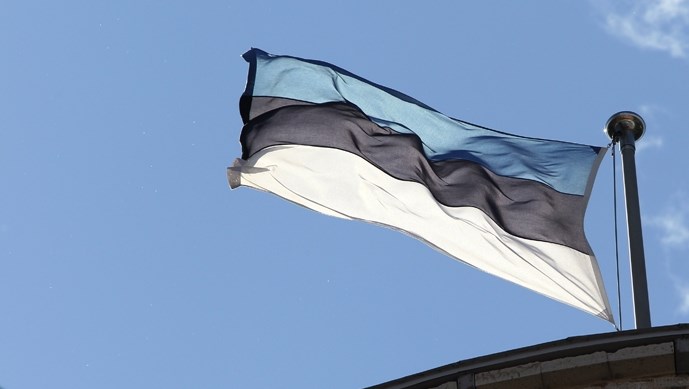 Боевика, воевавшего за ЛНР, эстонские власти хотят передать Украине 