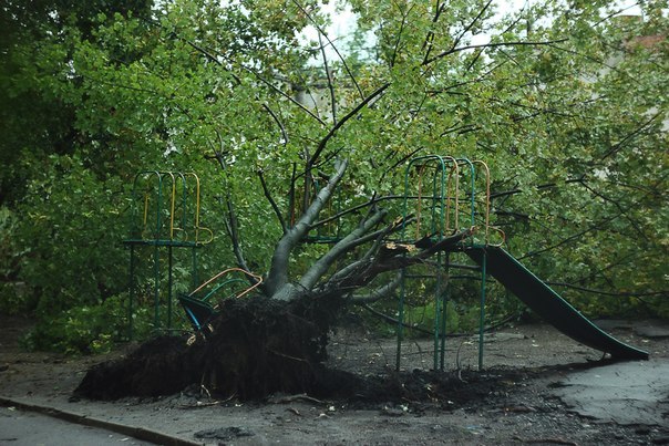 Последствия непогоды в Донецке: поваленные деревья, обесточенные подстанции и не функционирующий транспорт