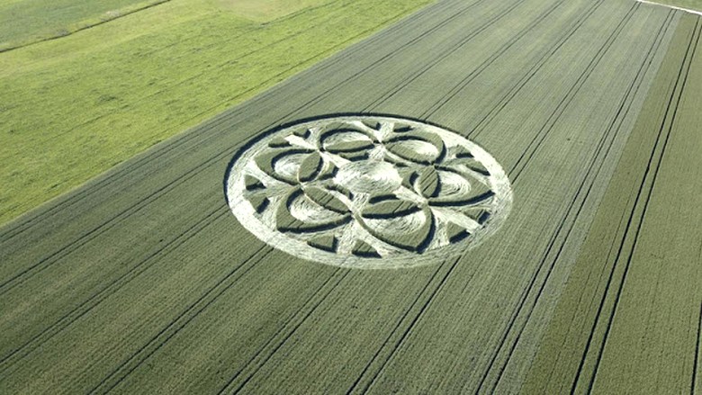 Швейцарский фермер нашел филигранный рисунок на поле, которые сотворили НЛО