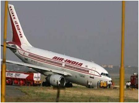 В Индии самолет врезался в буйвола
