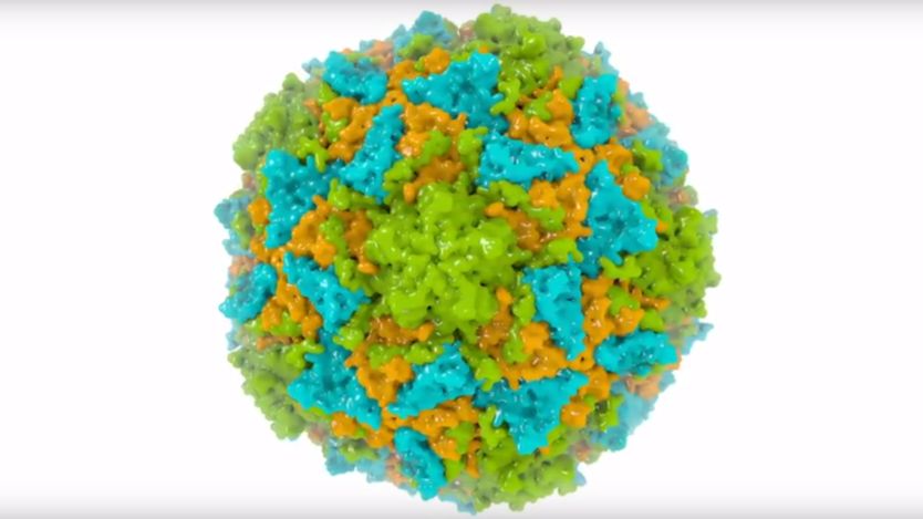 Вакцина против полиомиелита из табака
