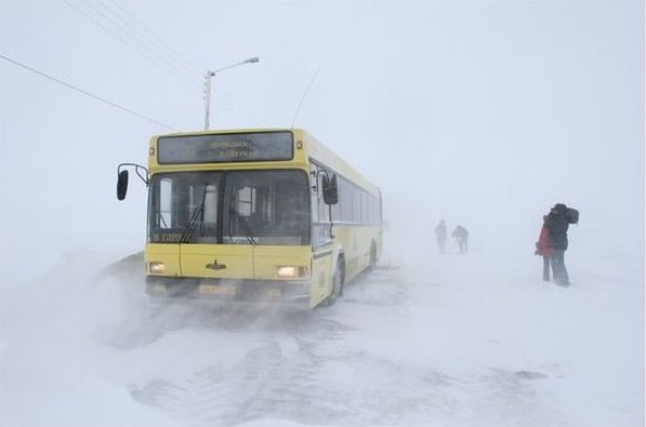 В Одесской области в сугробе застрял автобус с 60 пассажирами