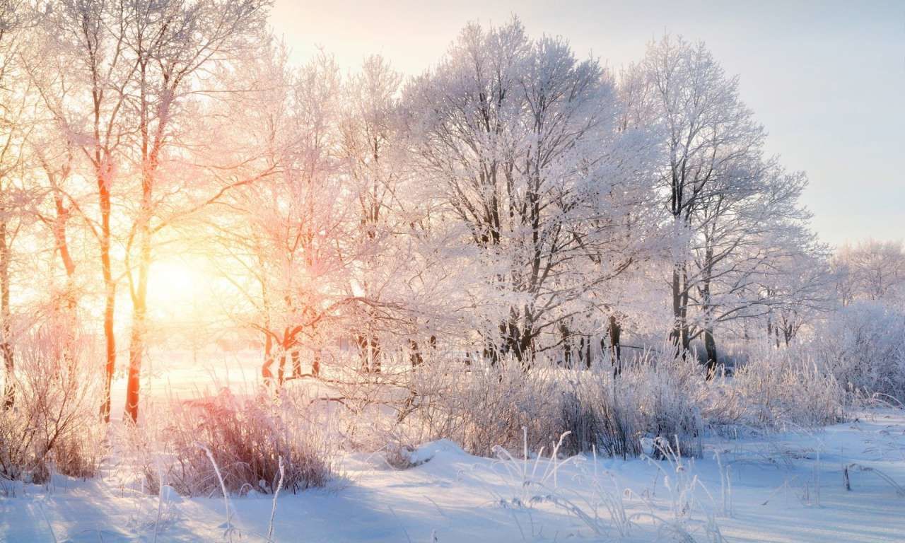 ​Украинский синоптик прогнозирует приход "классической зимы" в последнюю неделю января