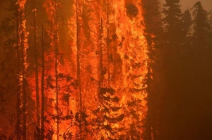 Масштабный пожар на Аляске: десятки уничтоженных домов и экстренная эвакуация