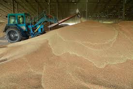ДНР: У нас хватит запаса зерна до нового урожая