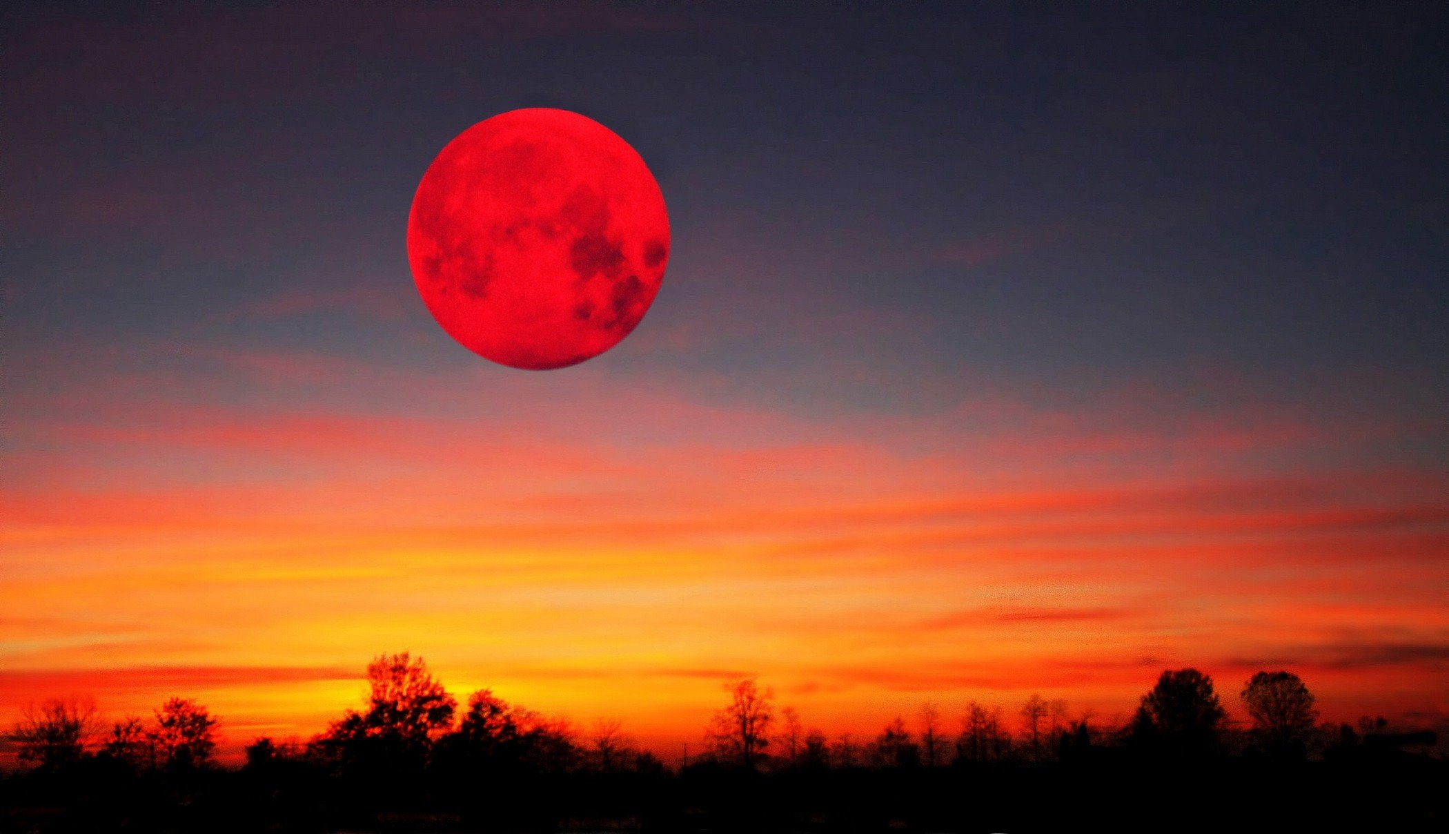 "Кровавая" Луна зажглась в ночном небе - украинцам повезло увидеть чудо вживую: захватывающие кадры редкого затмения 
