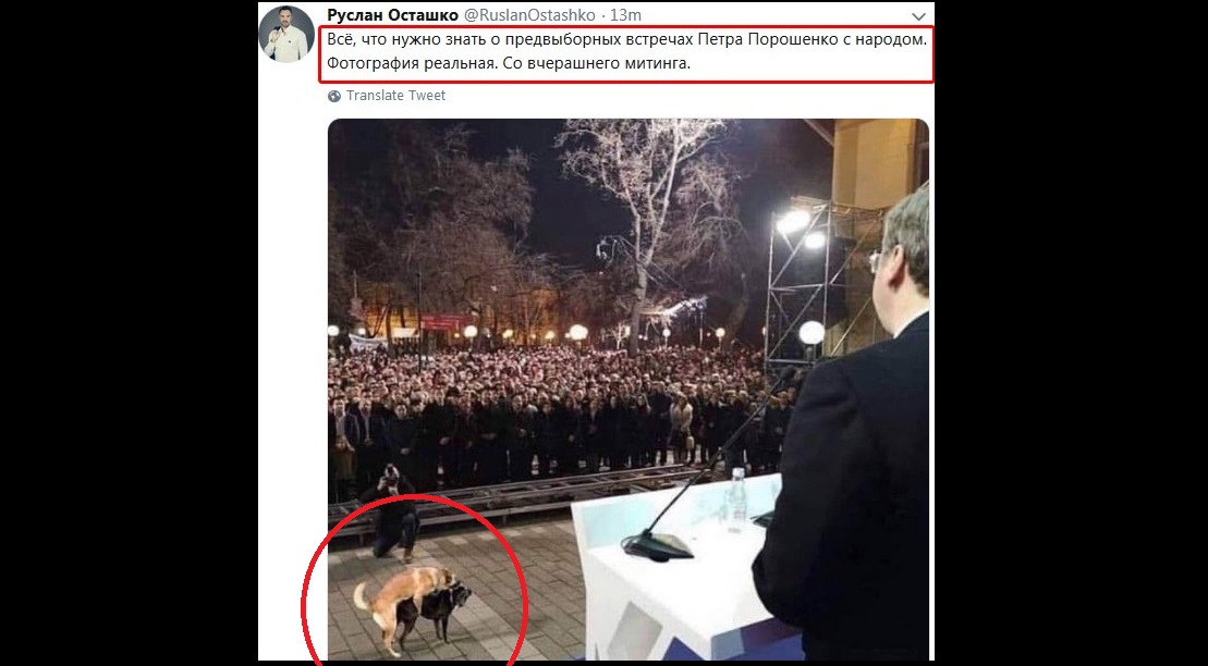Россияне опозорились наглым фейком про митинг Порошенко - реальное фото вызвало скандал в Сети