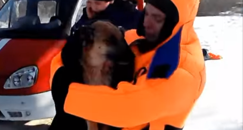 Чудесное спасение: на Полтавщине из ледяной реки спасатели достали замерзшую собаку