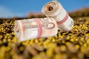 Госпредприятия собираются распродавать в формате аукциона