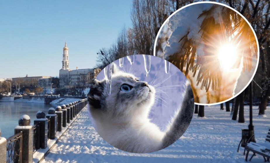 Зима сдает позиции, украинцев ожидает резкое потепление – синоптик назвала дату