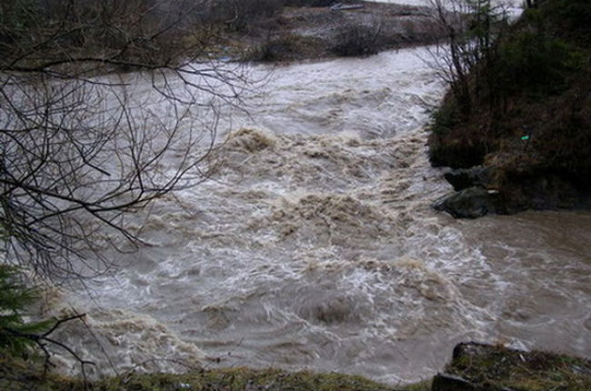 Наводнение в Закарпатье: погиб 11-летний мальчик - ужасные подробности