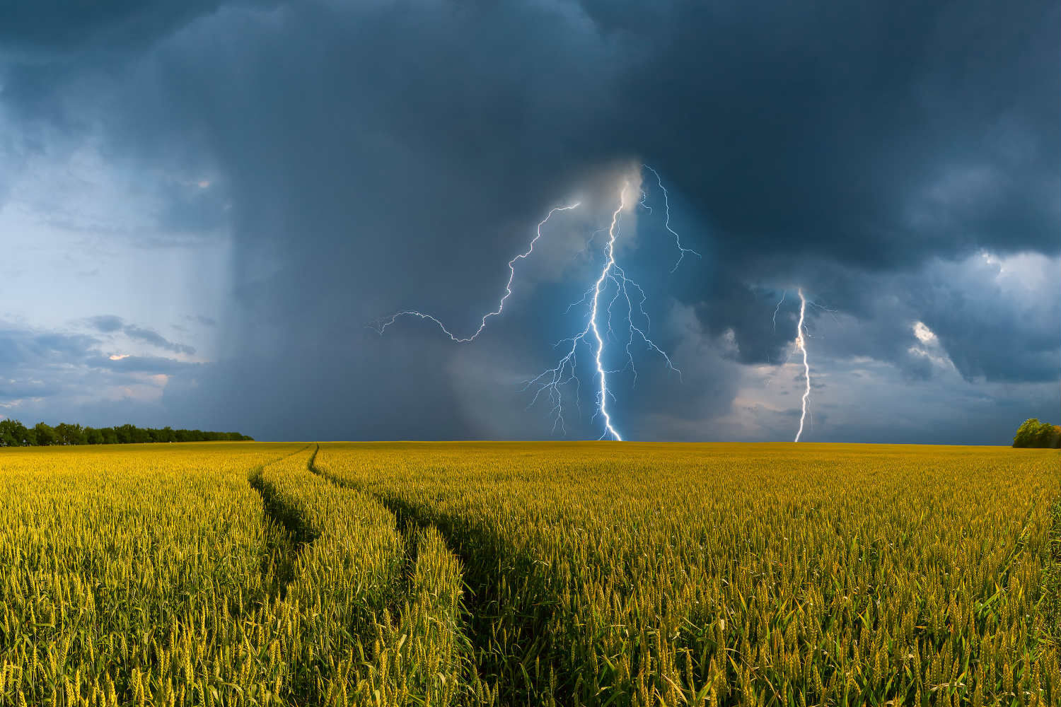 Грозовые дожди, ливни и ветер: украинцев предупредили о погоде в выходные