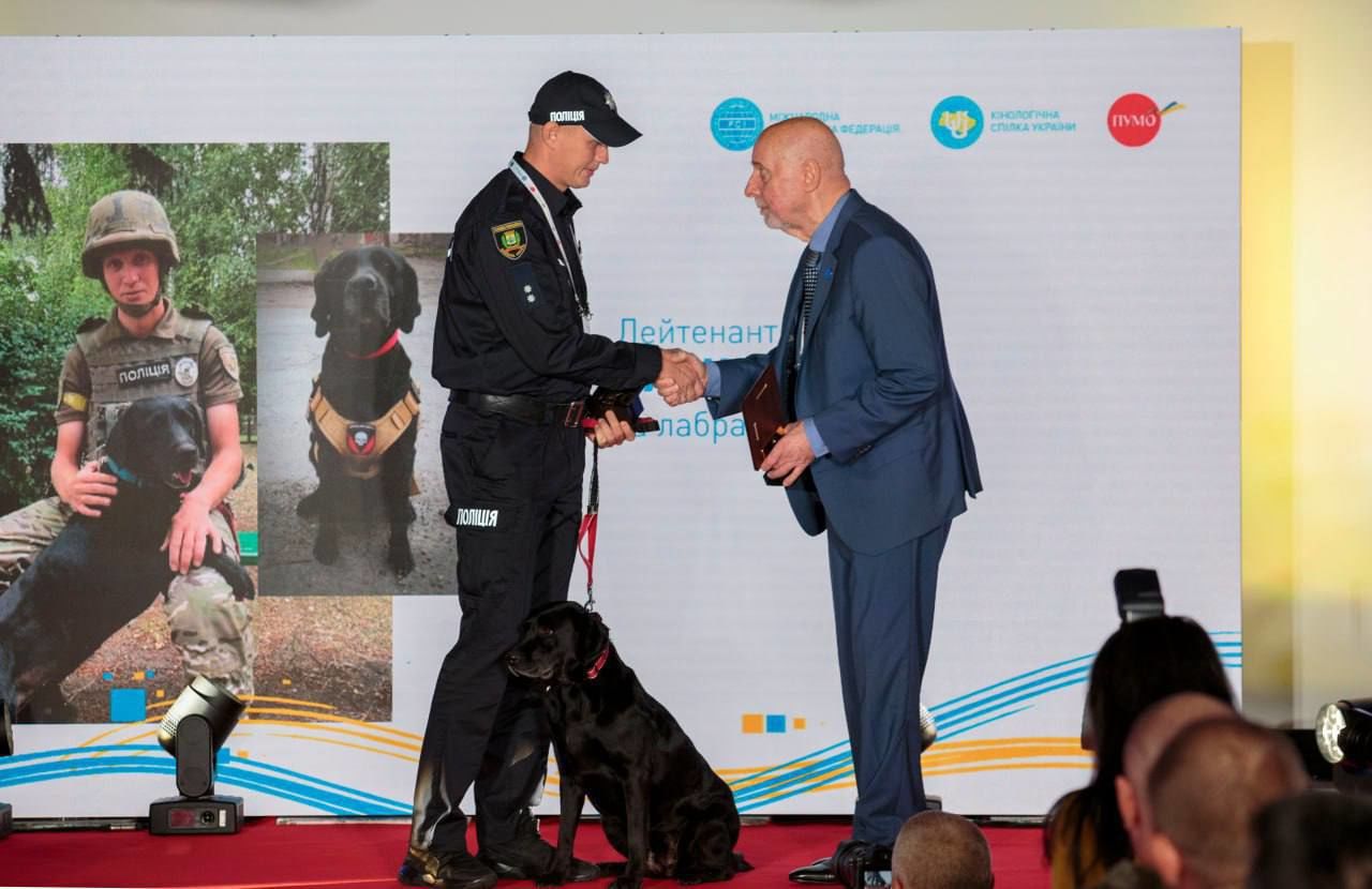 Собаки против оккупантов: в Украине наградили лабрадора Киру за помощь украинским защитникам