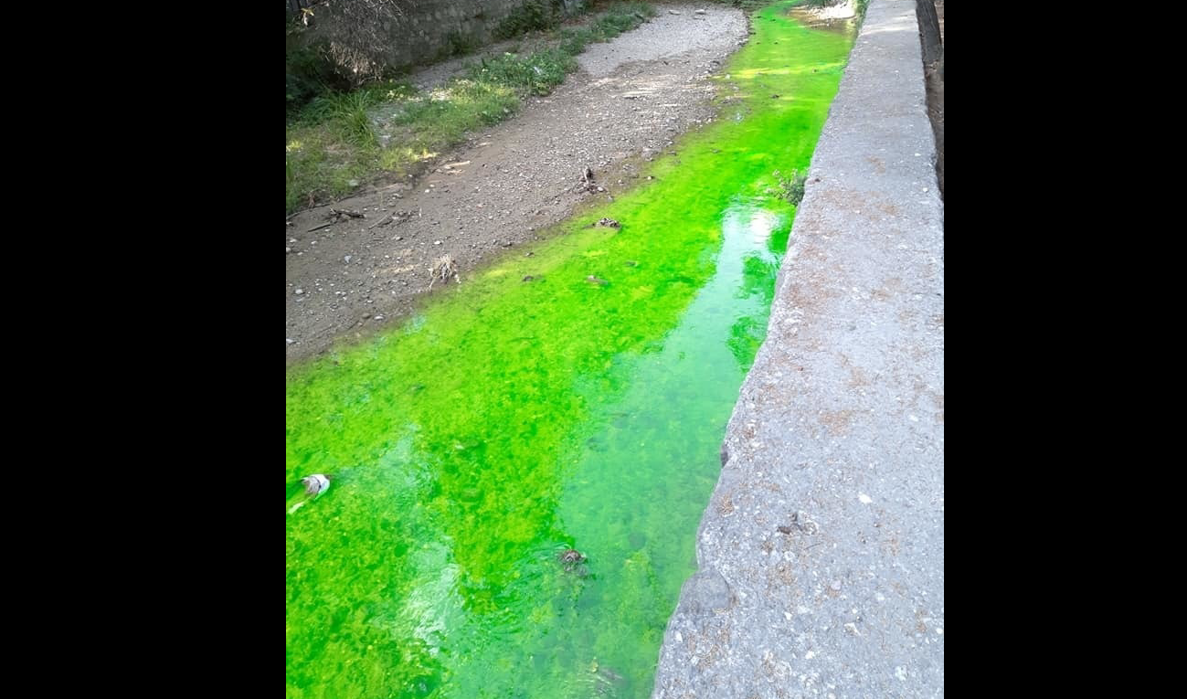 Крым накрыло новое экологическое бедствие: у жителей Ялты паника - вода в реке внезапно позеленела. Кадры