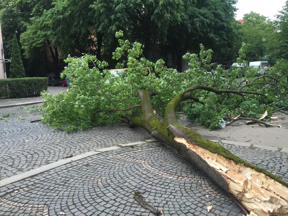 Последствия непогоды в Прикарпатье: одна женщина погибла, 4 пострадавших