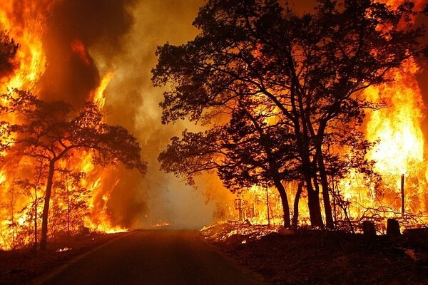 Жизнь в Москве под угрозой: СМИ озвучили пугающий прогноз экологов о пожарах в России - фото
