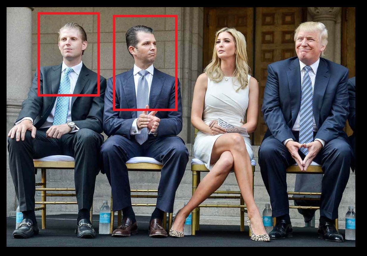 Два сына Трампа инвестируют в компанию с военными технологиями Украины – WSJ