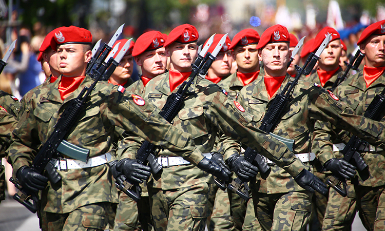 Польша готовит армейские формирования на границе с Украиной, готовые в любую минуту противостоять Кремлю