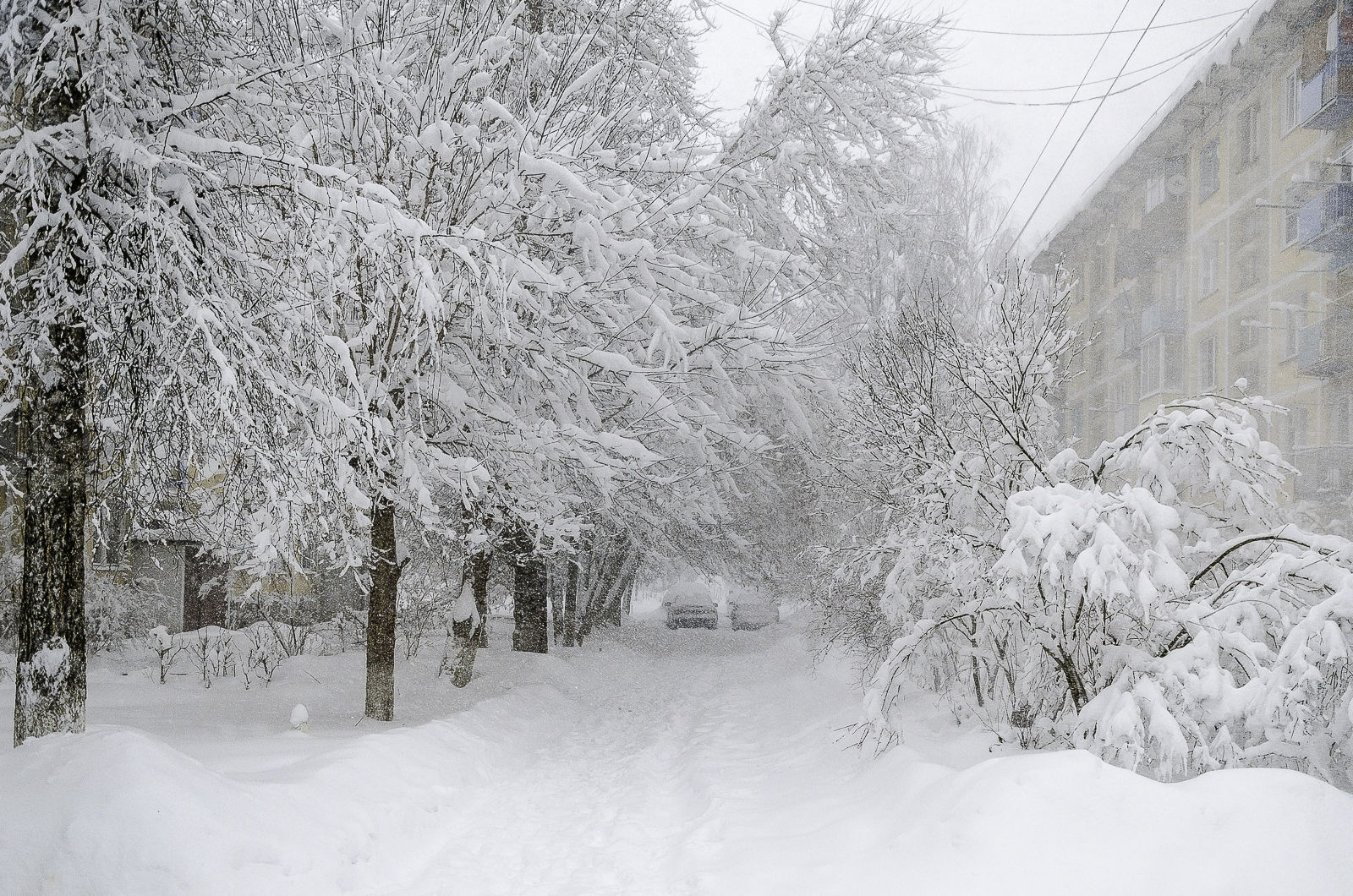 Украину заметет: синоптики рассказали, в каких регионах ждать снегопад, – карта