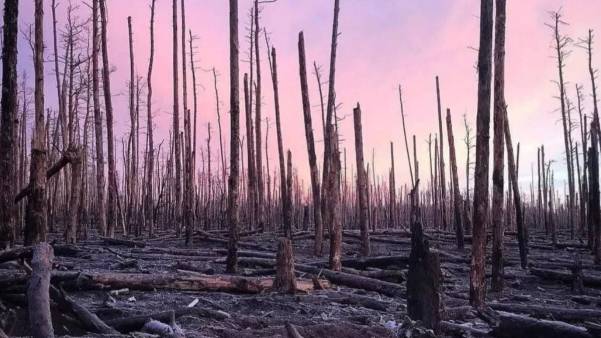 Гибнут целыми подразделениями: оккупанты проговорились об огромных потерях на Луганщине