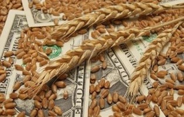 Афера на миллионы: в СБУ рассказали детали рейдерского захвата агрохолдинга из ТОП-20 компаний Украины