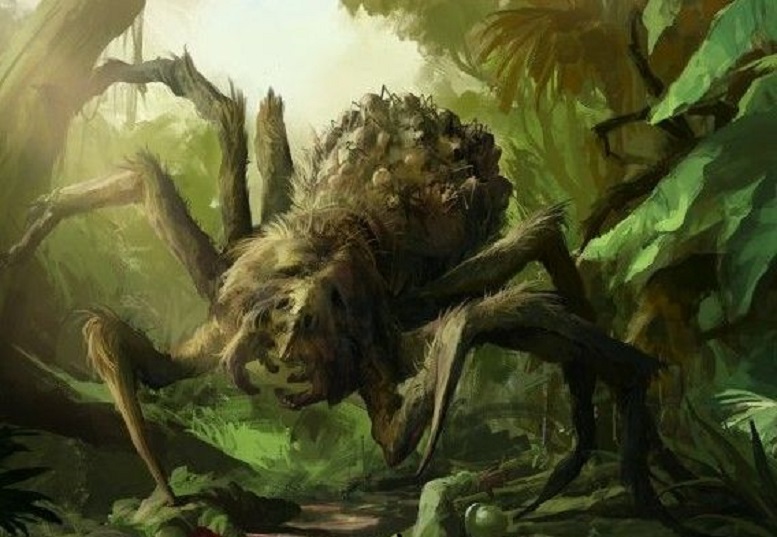 Двухметровые монстры, которые могут уничтожить человека: раскрыт феномен гигантских пауков Джейба Фофи