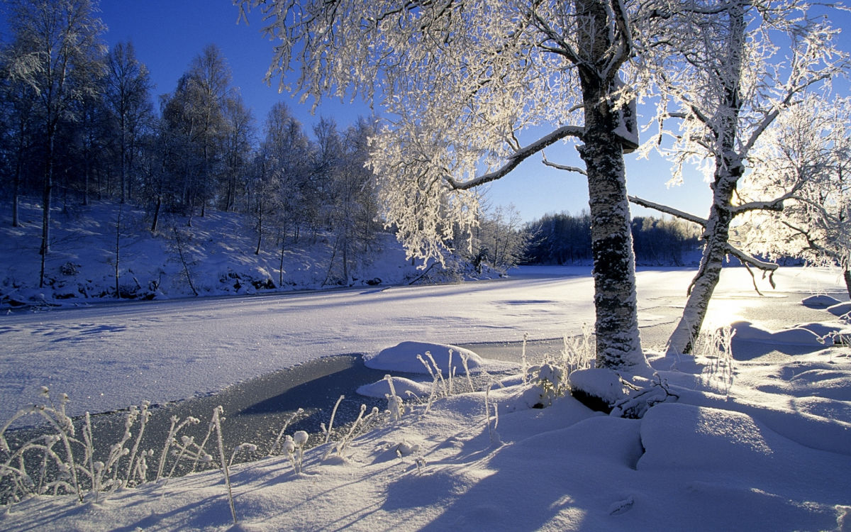 Зима придет вовремя: стало известно, какой будет погода в декабре 2022-го