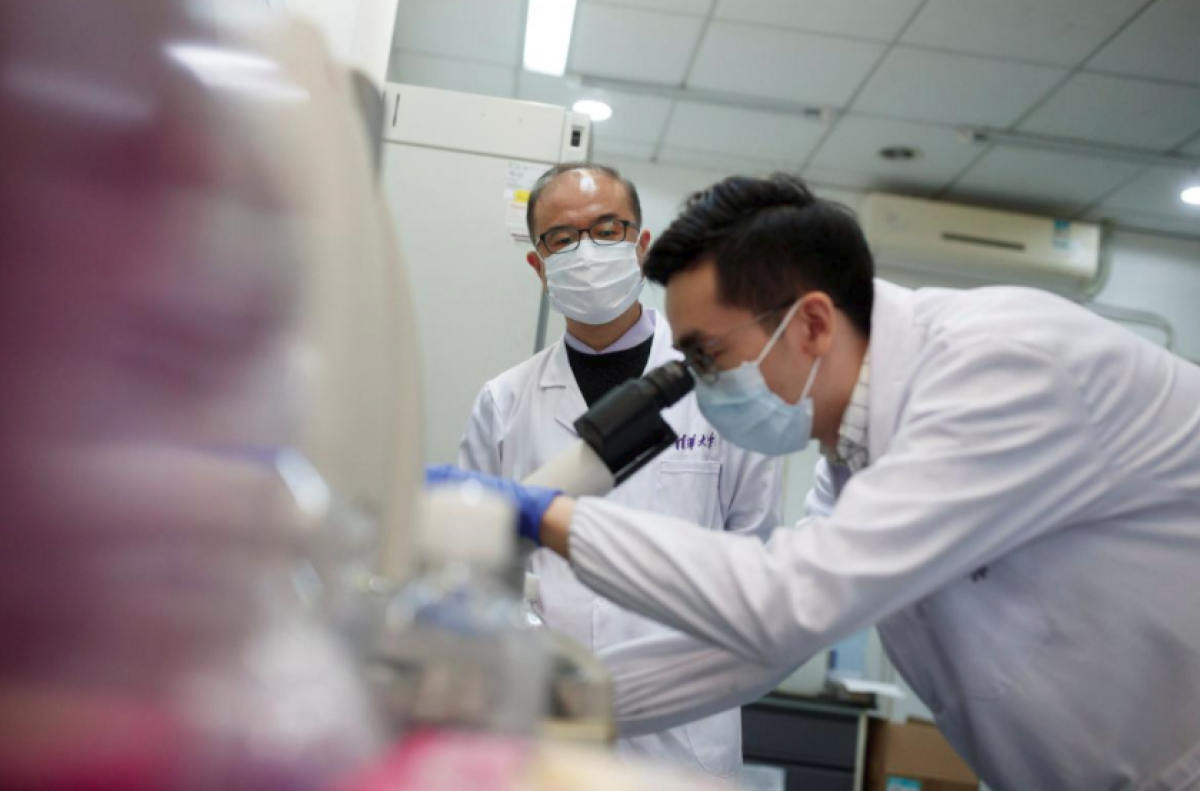 Reuters: Антитела эффективно борются с новым вирусом - китайские ученые 