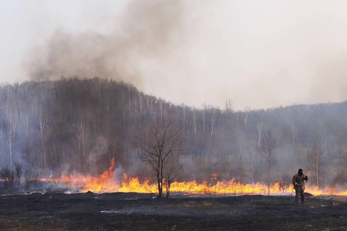 Медведев нелепо оправдался за сгоревшие 3 миллиона гектаров леса в Сибири