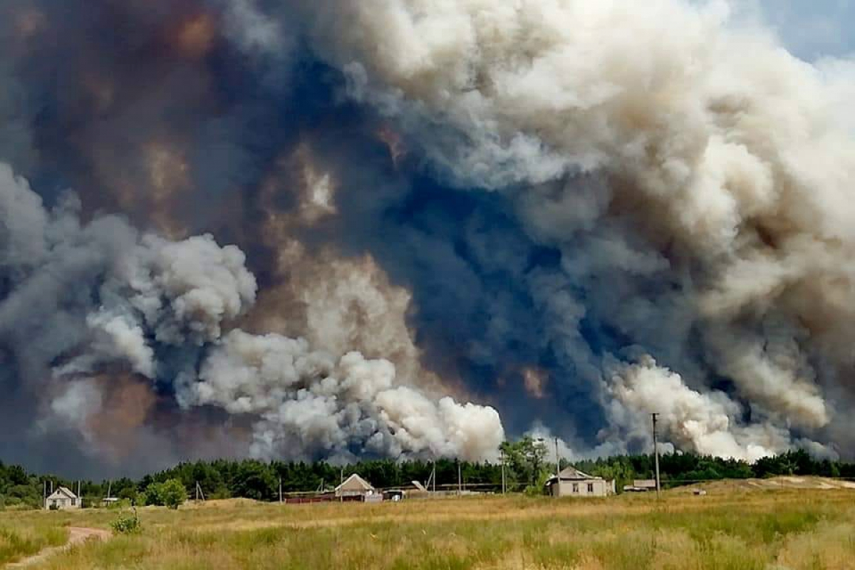 ​К Северодонецку подбирается огонь: лесной пожар сжег десятки домов, есть погибшие и много раненых