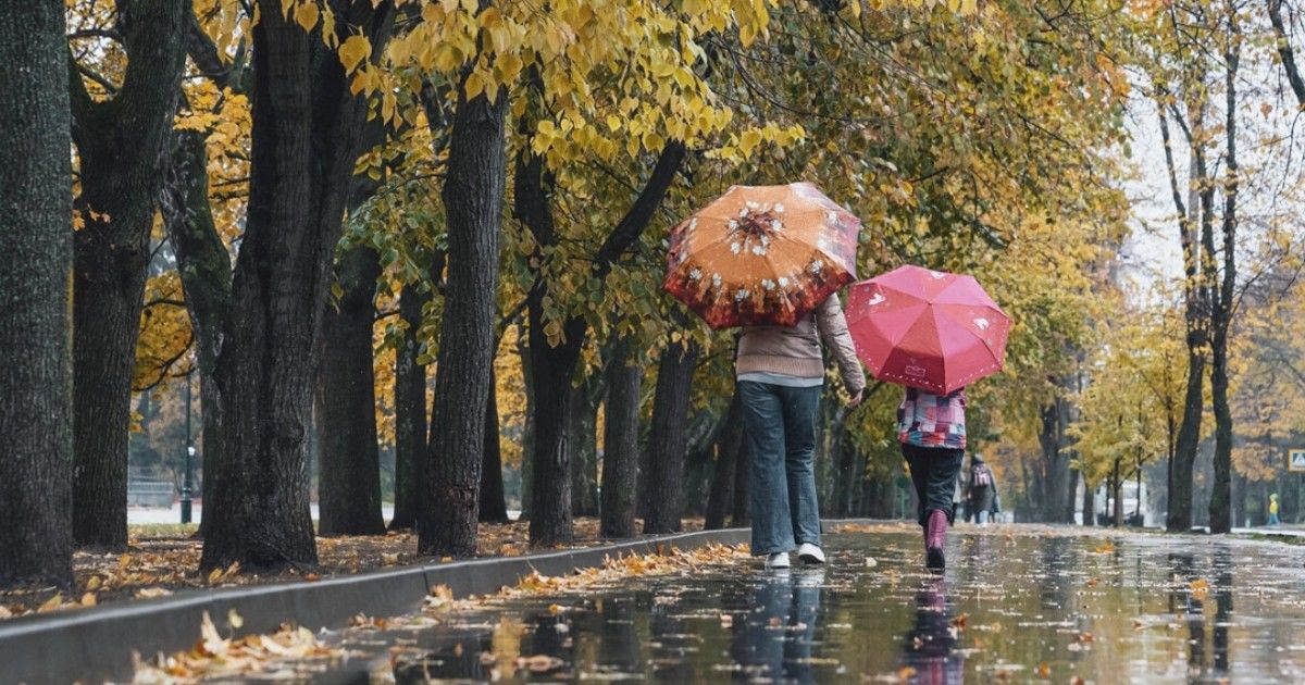 В Украину движется атмосферный фронт: синоптик рассказала, где завтра пригодятся зонтики