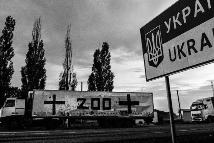 ​В Челябинске на свалку выбросили цинковые гробы с "грузом 200" внутри: "Невостребованные"