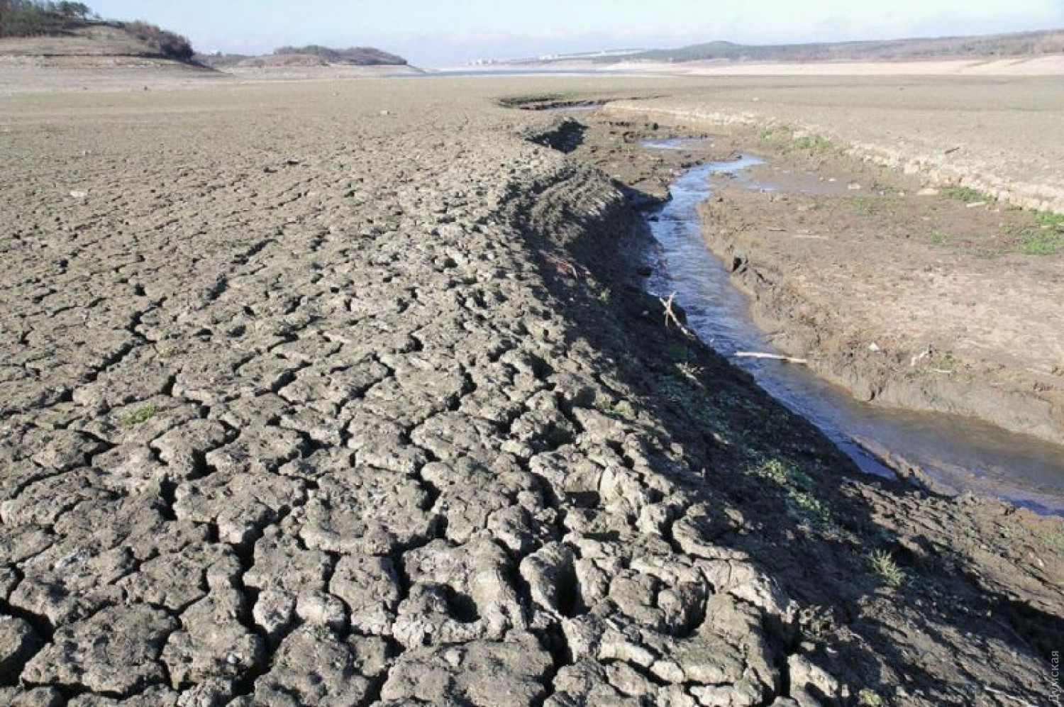 Водный кризис в Крыму: у Зеленского пояснили главные причины