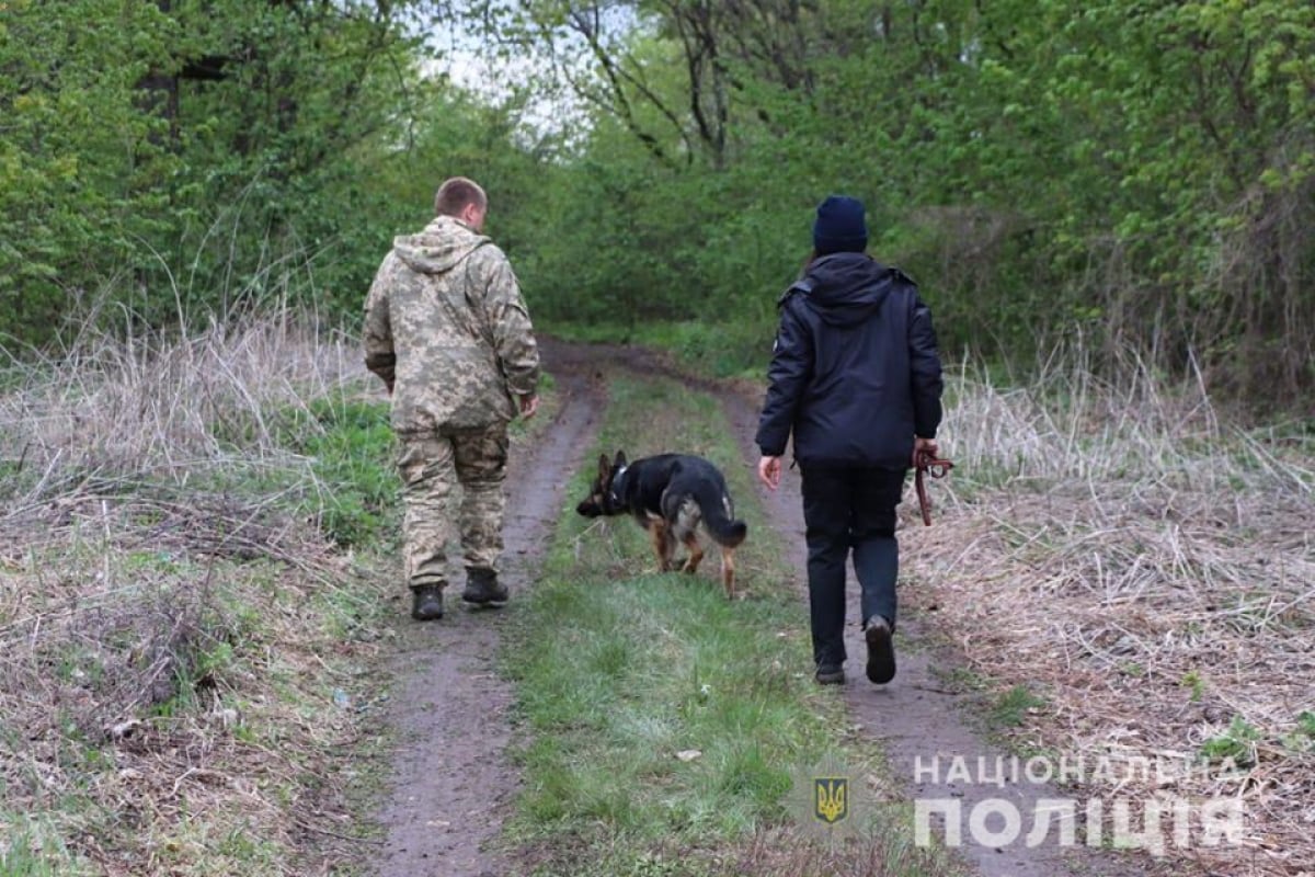 Спасатели обнаружили тело Милены Шевелевой на краю поля в 8 километрах от Сосновки, детали