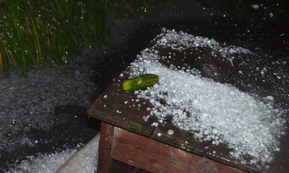 Непогода в Полтаве: град побил машины и сломал деревья (кадры)