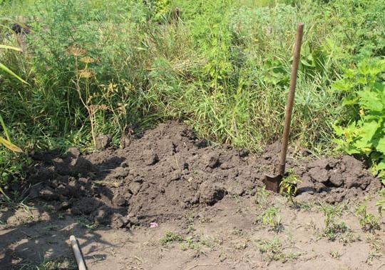 В Славянске пьяная компания после бурной попойки задавила 10-месячного малыша и избавилась от тела безжалостным способом