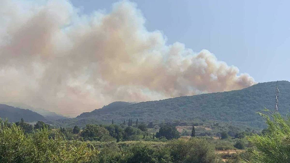 ​Украинские пожарные готовятся лететь в Грецию: 100 огнеборцев помогут Афинам